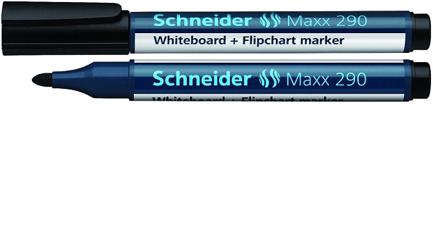     SCHNEIDER Maxx 290, 